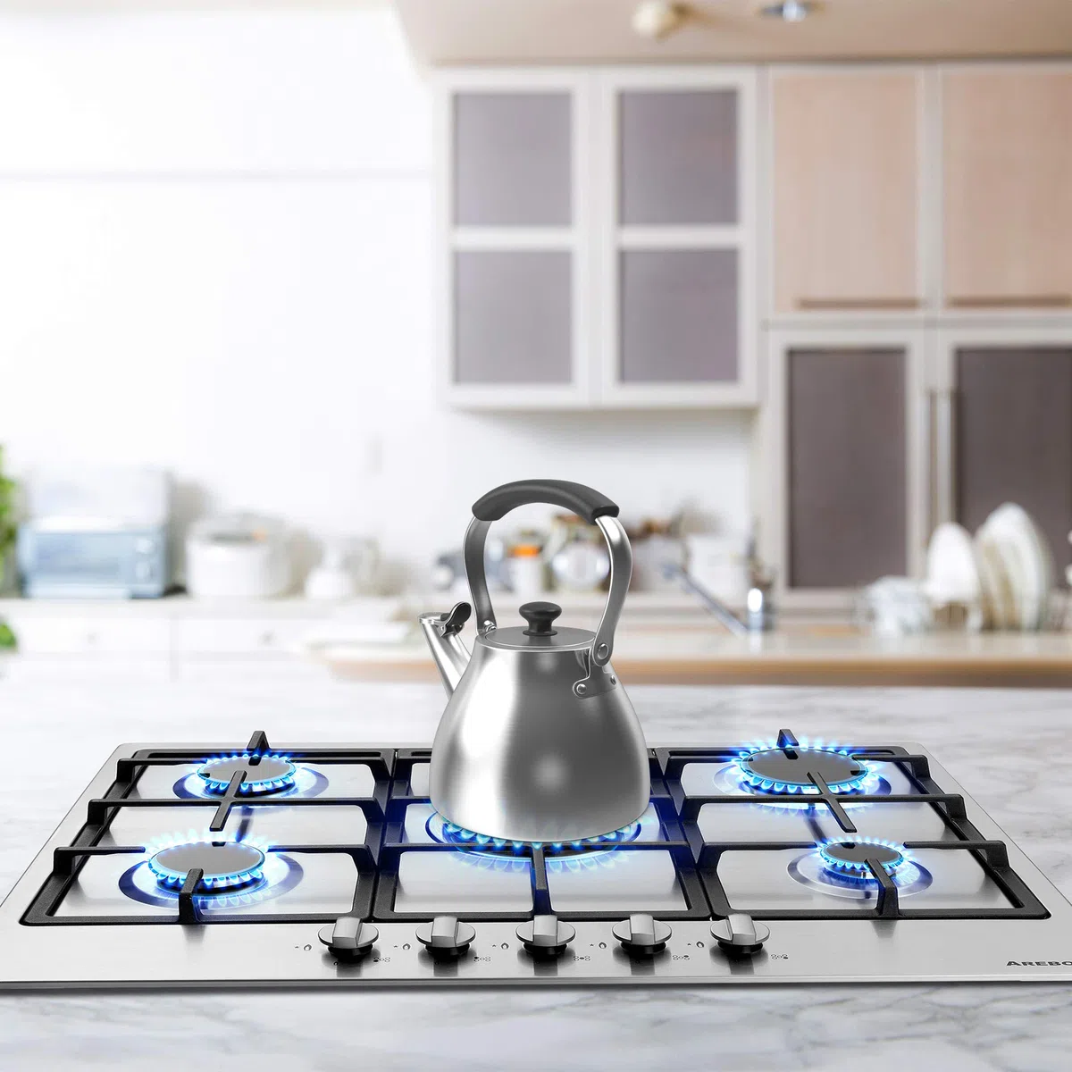 Arebos Placa de Cocina de Gas con 5 fogones | Acero inoxidable | Incluye rejilla y piloto de seguridad | Autosuficiente| Encimera Apta para gas natural y propano